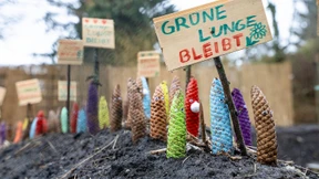 Die Grünen grübeln