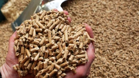 Strafprozess gegen Gründer von German Pellets endet