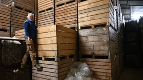 Der Apfel von nebenan