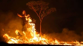 Schlimmste Juni-Brände seit 14 Jahren