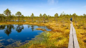 Vom Besten der Esten