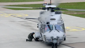 Der Seelöwe bleibt am Boden