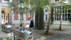 Kulturelle Netze wachsen langsam