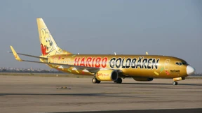 Die fliegende Werbetrommel