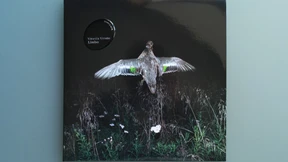 „Limbo, das ist unsere neue Adresse“