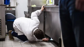 Mäusekot – jetzt auch öffentlich