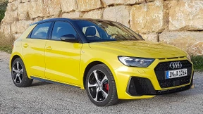 In der Wachstumsphase