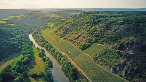 Die Loreley vom Bosenberg