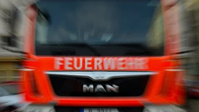 Polizei rettet junge Frau – Mehrere Rinder verenden bei Brand