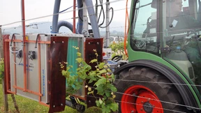 Mit Licht bestrahlen statt Chemie verspritzen