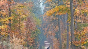 Polarluft zieht nach Hessen