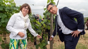 Nur beim Glyphosat bleibt Özdemir in der „Wildsau“ hart