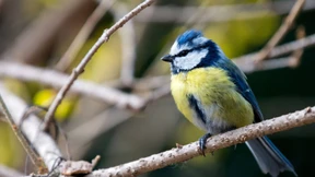 Erst Kälte, dann Frühling