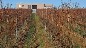 Kritik an Doppelmoral beim Landschaftsschutz 