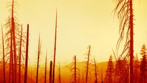 Warum die Mächtigen nicht einfach die Welt retten