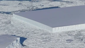 Forscher entdecken quadratischen Eisberg