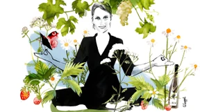 Das wahre Märchen vom reinen Wein