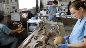 Amerika will 150 serbische Kriegsverbrecher ausweisen