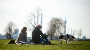 Temperaturen bis 20 Grad erwartet