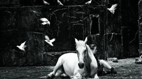 Der Moment, bevor er zutritt