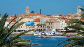 Die glorreichen Zwölf