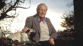 Wenn das Denken durch Stimmungen ersetzt wird