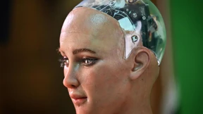 Randalierende Orcas und die Angst vor der KI