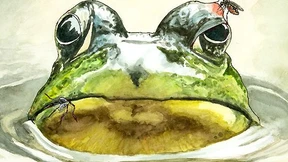 Traubenzucker gegen Frost