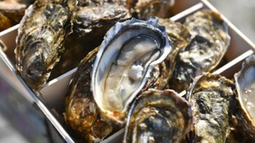 Wie Fehler Schönheit kreieren