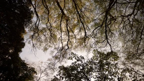 500 Kilo schwerer Metallring aus dem All schlägt in Dorf ein