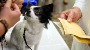 Erste Hilfe  in der B-Ebene