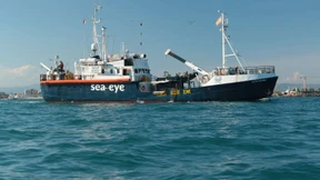 AfD-Politiker unterstellt NGO Mitverantwortung für Anschlag in Nizza