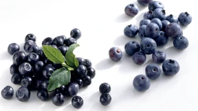 Das Geheimnis des Blaubeer-Booms