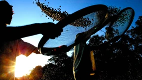 Schwacher Euro macht viele Waren teurer