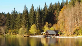 Österreich droht der Entzug der Topbonität