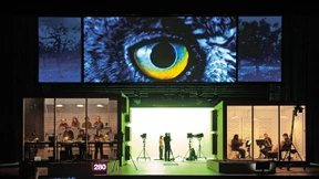 Fuchs und Fichte wissen, was wir Menschen tun