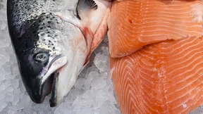 Mehr Fisch und nicht Fleisch