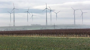 Ein Rekordjahr für den Ökostrom