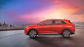 Vietnam will es Vin und Fast