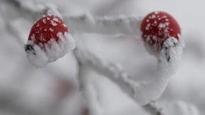 Schneefälle sorgen für etliche Unfälle in Hessen