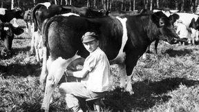 Tausche Vieh und Land gegen Bildung