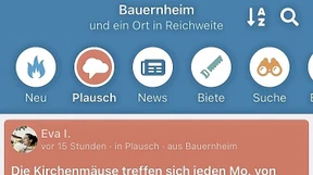 „Wie Ebay, Facebook und Instagram in einem“