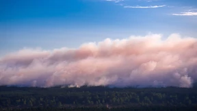 Waldbrand in Mecklenburg-Vorpommern weitet sich aus