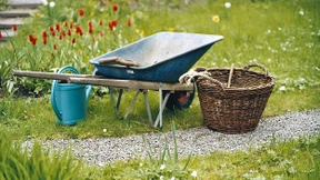 Das Paradies ist nebenan