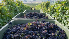 Farbe des Tages: Rot