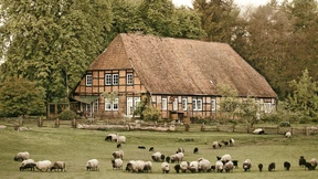 Tut’s auch eine Nummer kleiner?