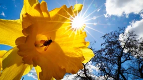 Wolken, Regen, Sonne – es ist alles dabei