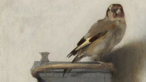 Und dann brachte ein Spatz 23.000 Dominosteine zu Fall