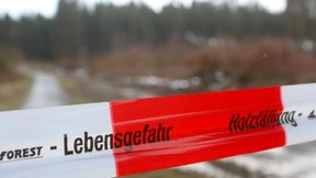 Frau von umstürzendem Baum getroffen