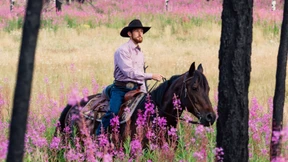 Was muss passieren, damit ein Bär und ein Hase beieinander stehen und ins Feuer schauen?